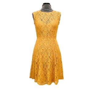 BCBG Lace Khloe Dress Golden Yellow XXS Belle